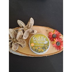 Pastilles des Alpes Génépi